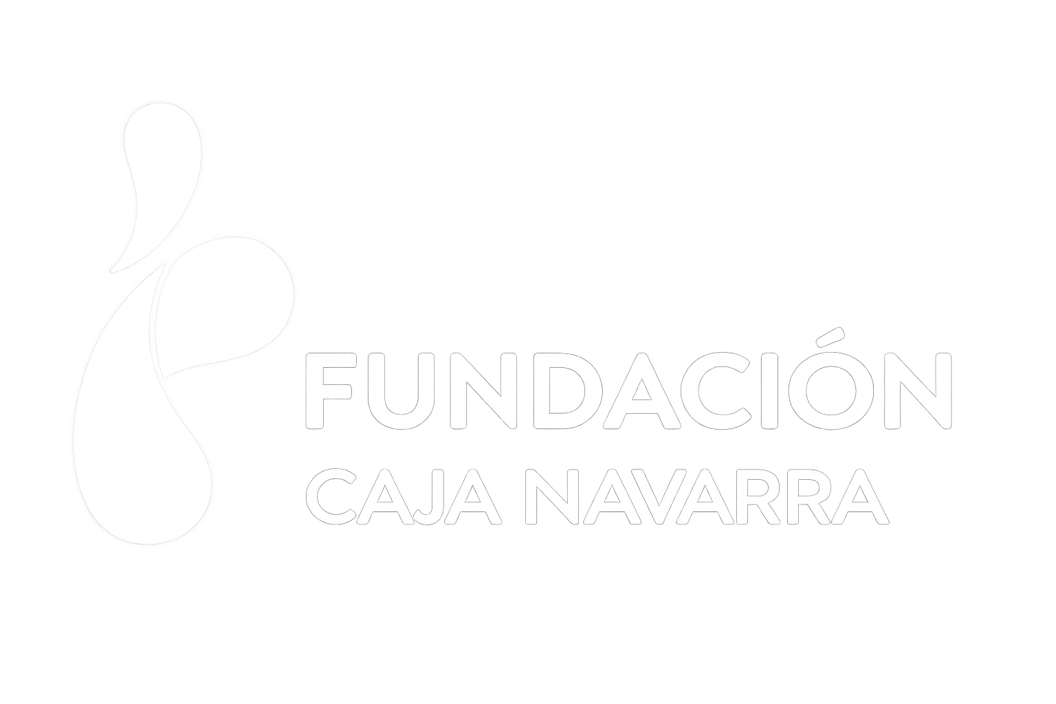 fundacion_caja_navarra_logo_cast